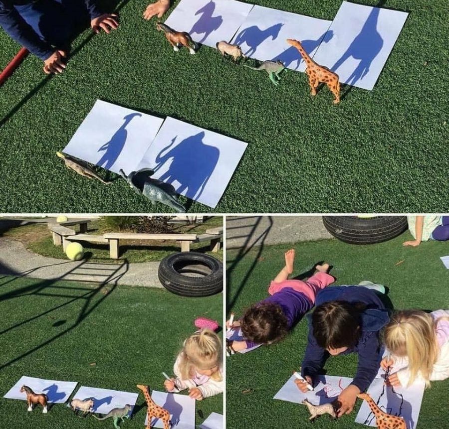 Children drawing a variety of toy animal shadows.